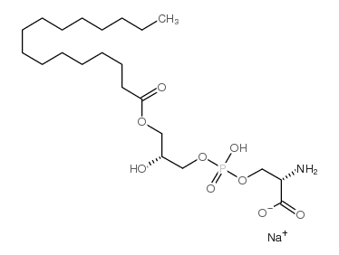 1-十六酰-SN-3-磷酸-L-丝氨酸钠盐
